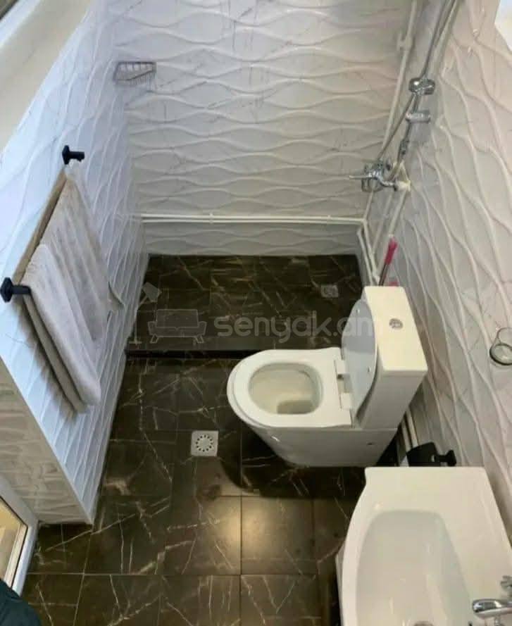 1 Սենյականոց Սեփական Տուն, 31քմ, Կապիտալ Վերանորոգված