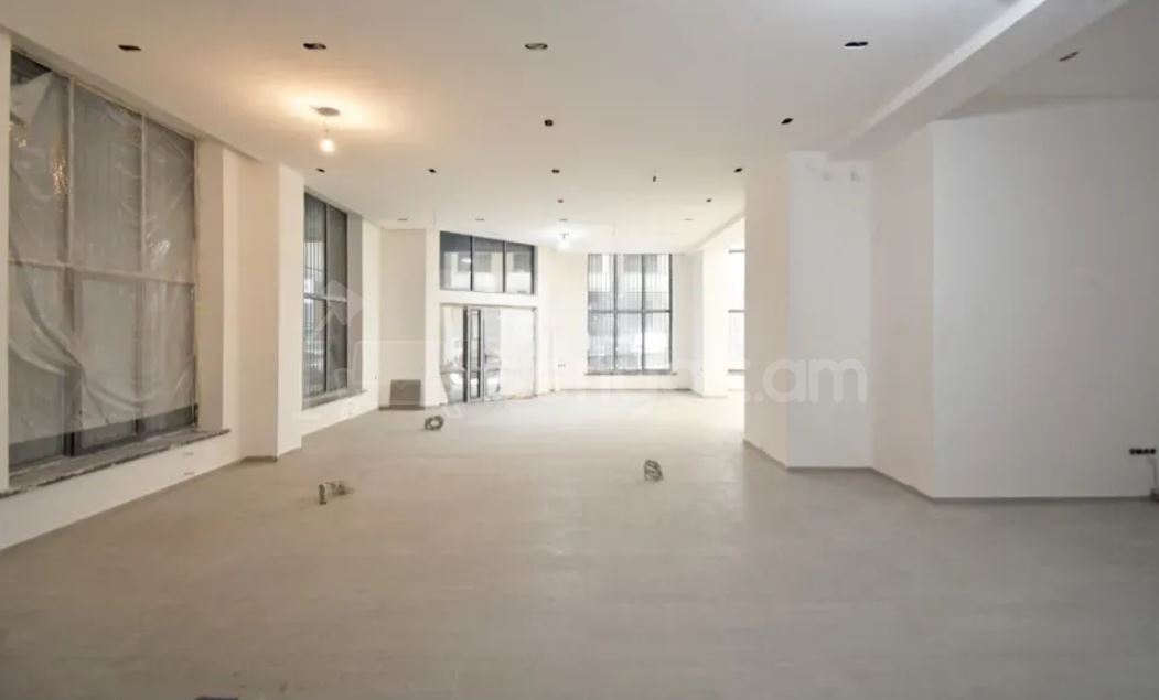 Նորակառույց Օֆիսային Տարածք, 225քմ