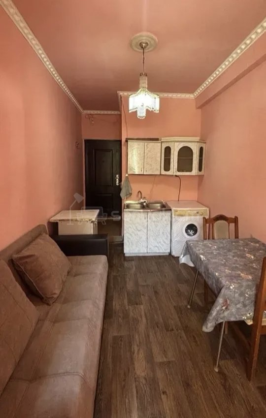 1 Սենյականոց Բնակարան Քարե Շենքում, 30քմ, 2/4 հարկ, Կոսմետիկ Վերանորոգված, Կահավորված