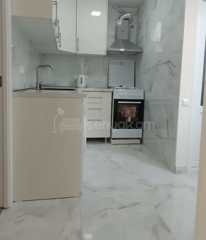 2 Սենյականոց Բնակարան Քարե Շենքում, 48քմ, 1/1 հարկ, Կապիտալ Վերանորոգված, Կահավորված