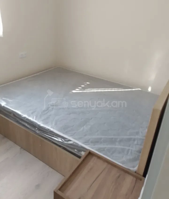 2 Սենյականոց Բնակարան Քարե Շենքում, 48քմ, 1/1 հարկ, Կապիտալ Վերանորոգված, Կահավորված