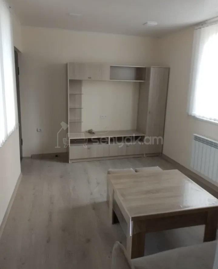 2 Սենյականոց Բնակարան Քարե Շենքում, 48քմ, 1/1 հարկ, Կապիտալ Վերանորոգված, Կահավորված