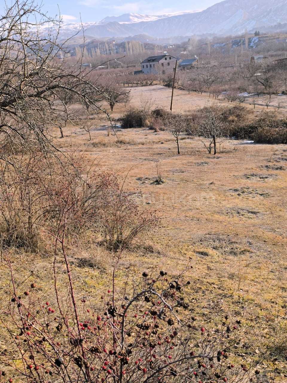 Հողամաս, 2380քմ, Ոռոգման Ջրով, Էլեկտրականությամբ