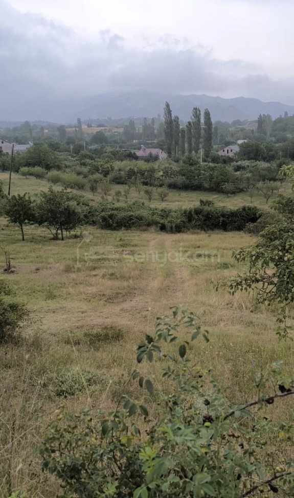 Հողամաս, 2380քմ, Ոռոգման Ջրով, Էլեկտրականությամբ