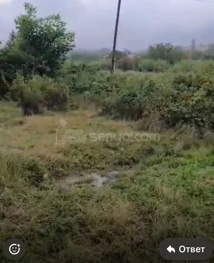 Հողամաս, 2380քմ, Ոռոգման Ջրով, Էլեկտրականությամբ