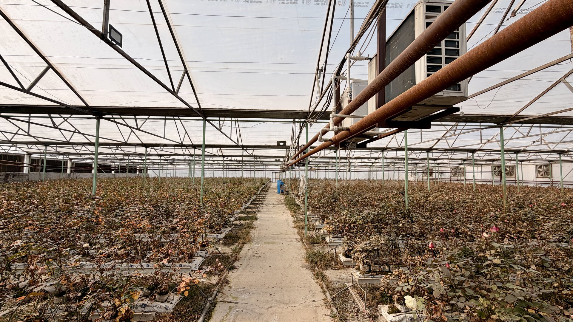 Հողամաս, 14000քմ, Ոռոգման Ջրով, Էլեկտրականությամբ