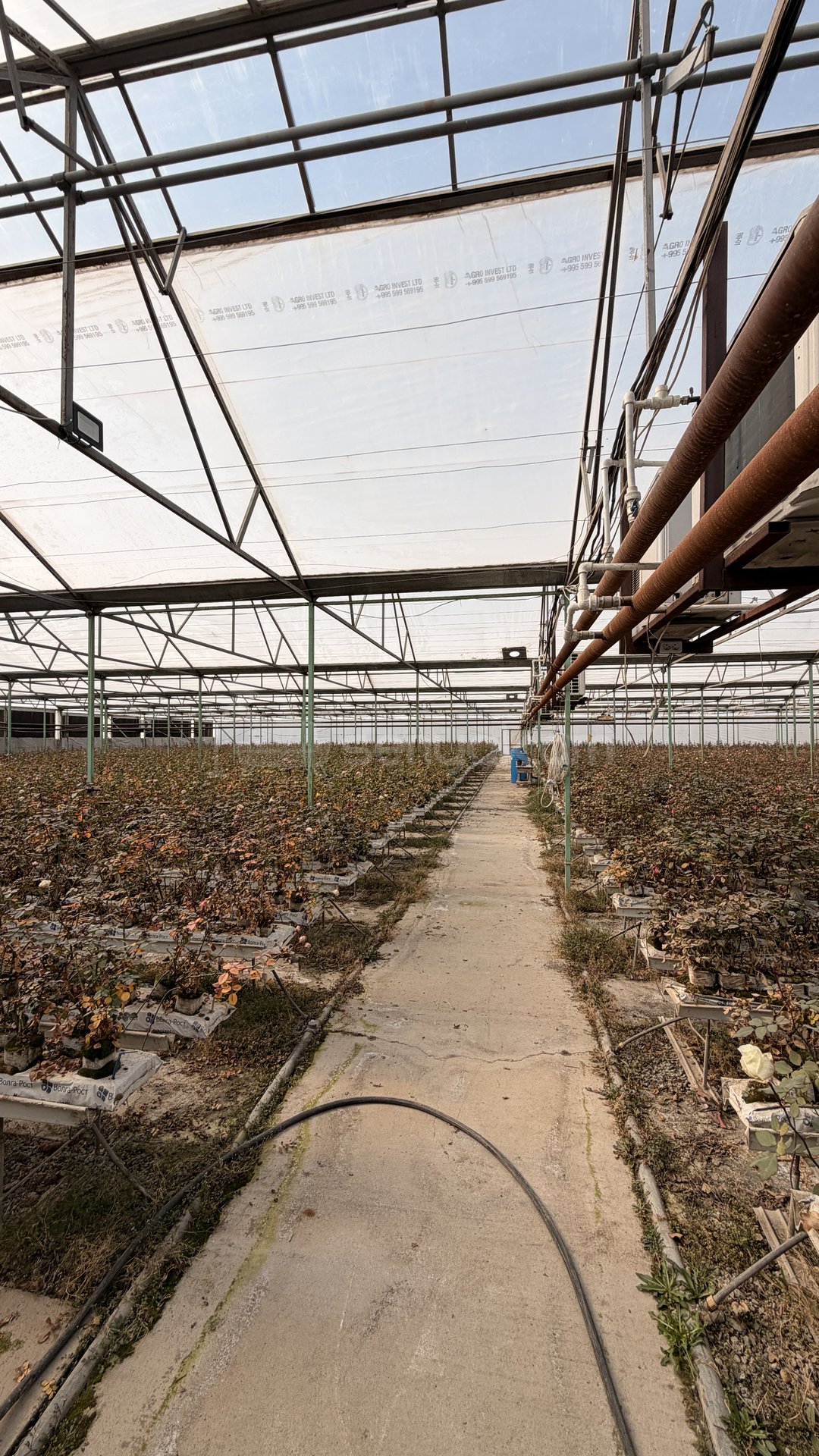 Հողամաս, 14000քմ, Ոռոգման Ջրով, Էլեկտրականությամբ