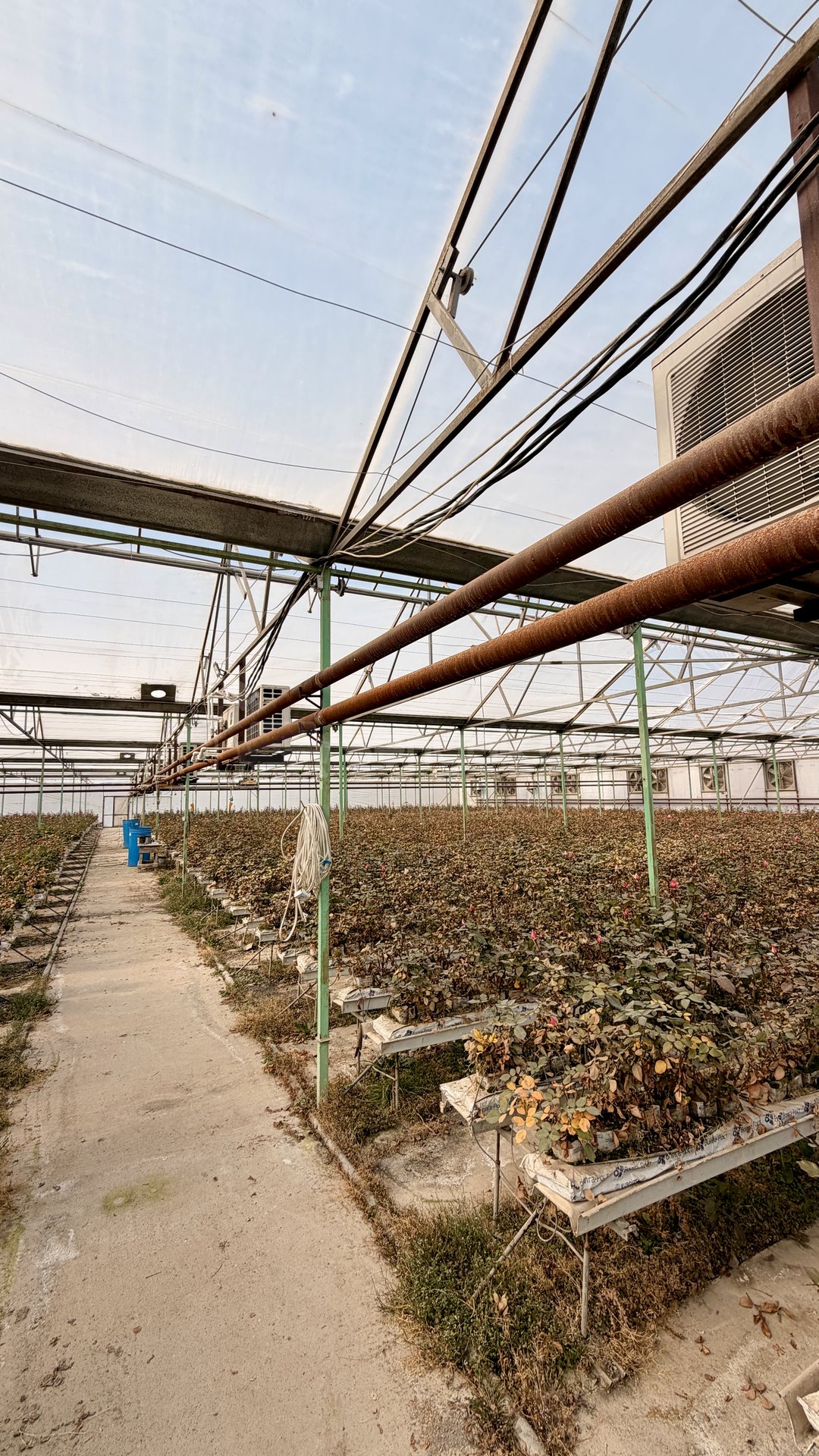 Հողամաս, 14000քմ, Ոռոգման Ջրով, Էլեկտրականությամբ