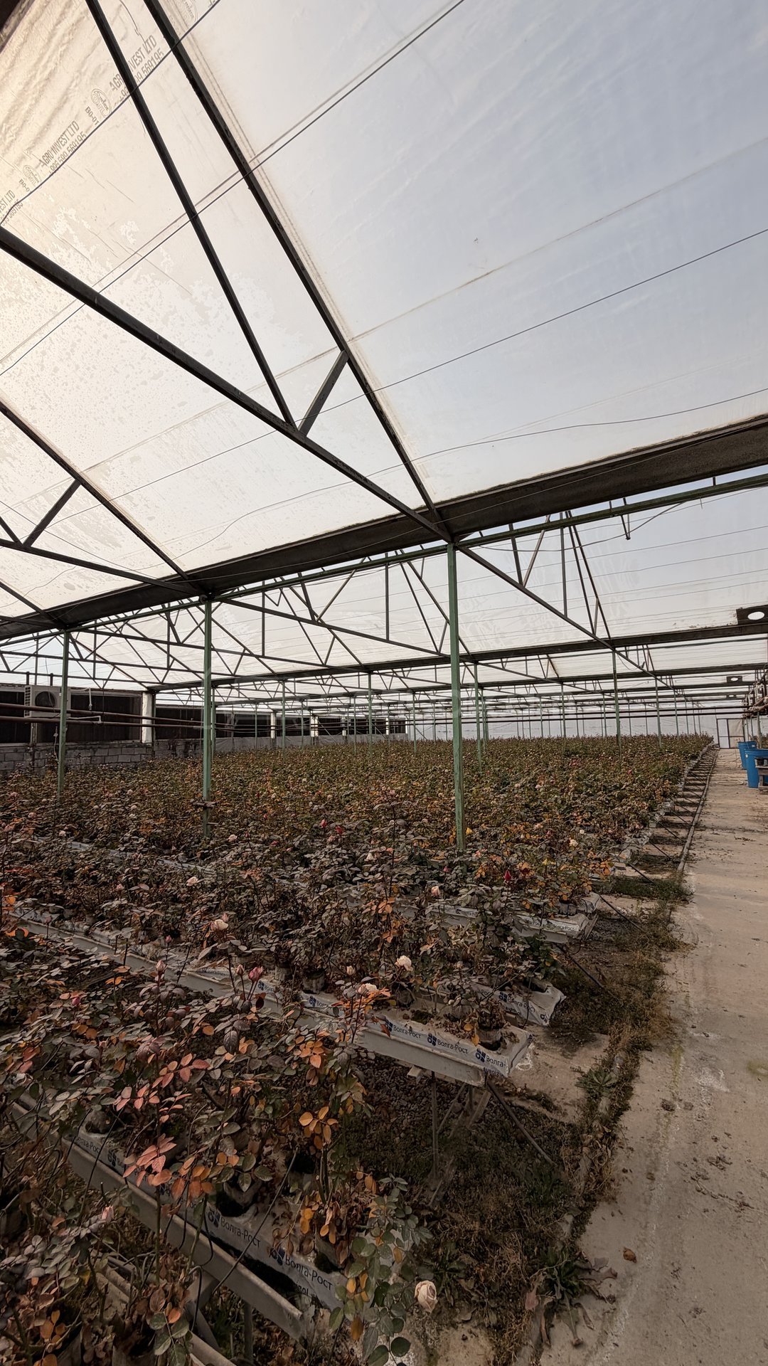 Հողամաս, 14000քմ, Ոռոգման Ջրով, Էլեկտրականությամբ