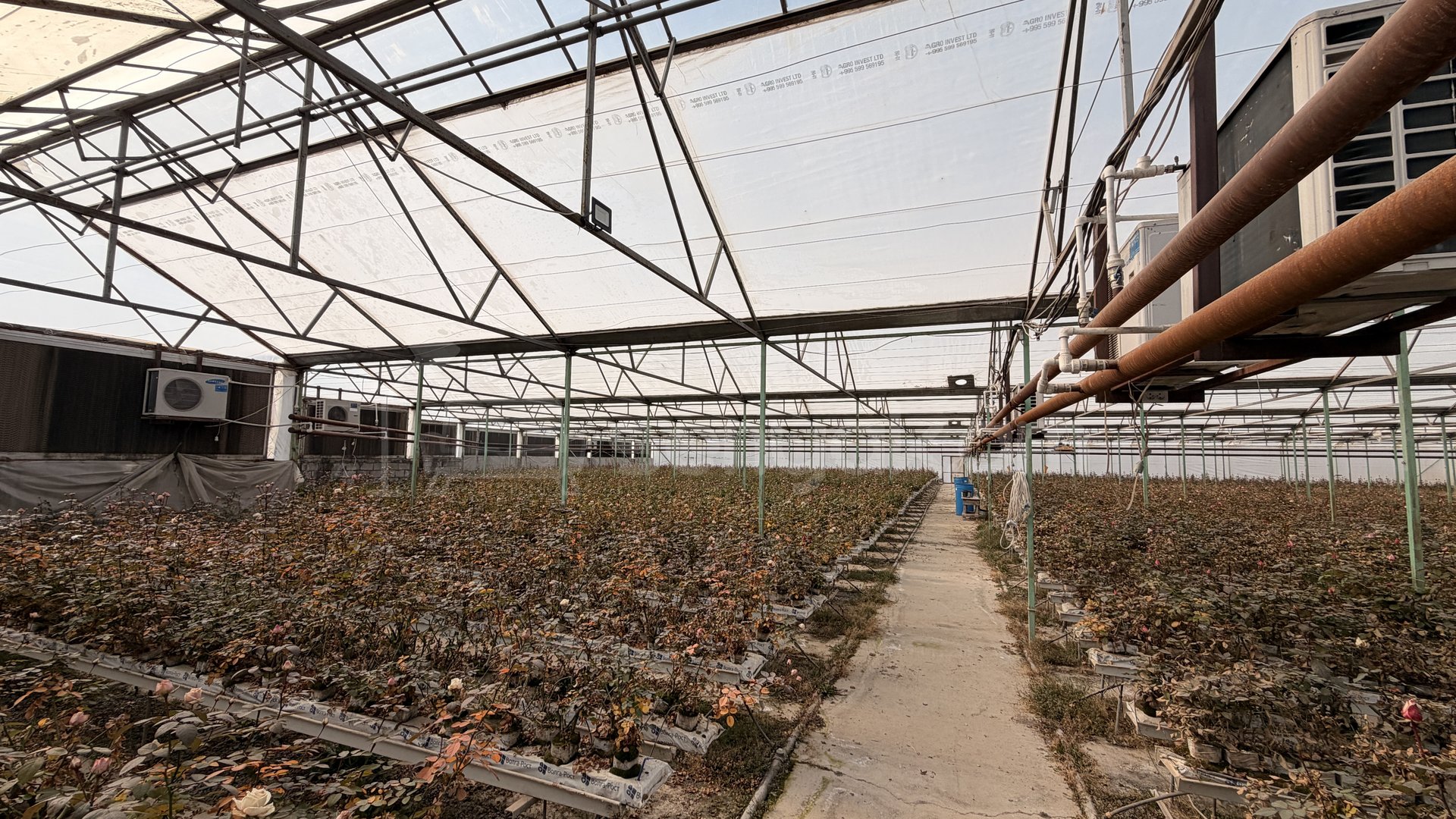 Հողամաս, 14000քմ, Ոռոգման Ջրով, Էլեկտրականությամբ