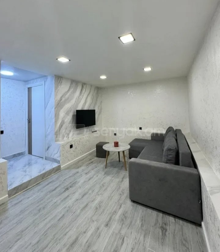 1 Սենյականոց Բնակարան Քարե Շենքում, 40քմ, 2/4 հարկ, Կապիտալ Վերանորոգված, Կահավորված