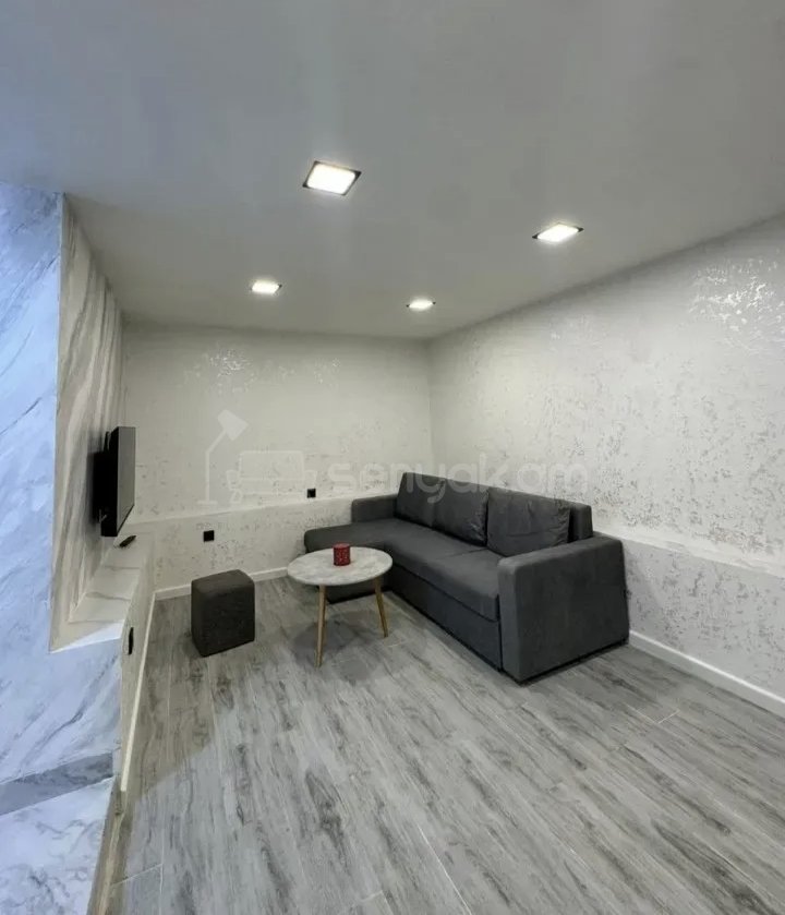 1 Սենյականոց Բնակարան Քարե Շենքում, 40քմ, 2/4 հարկ, Կապիտալ Վերանորոգված, Կահավորված