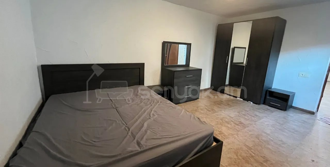 1 Սենյականոց Բնակարան Քարե Շենքում, 45քմ, 1/1 հարկ, Կապիտալ Վերանորոգված, Կահավորված