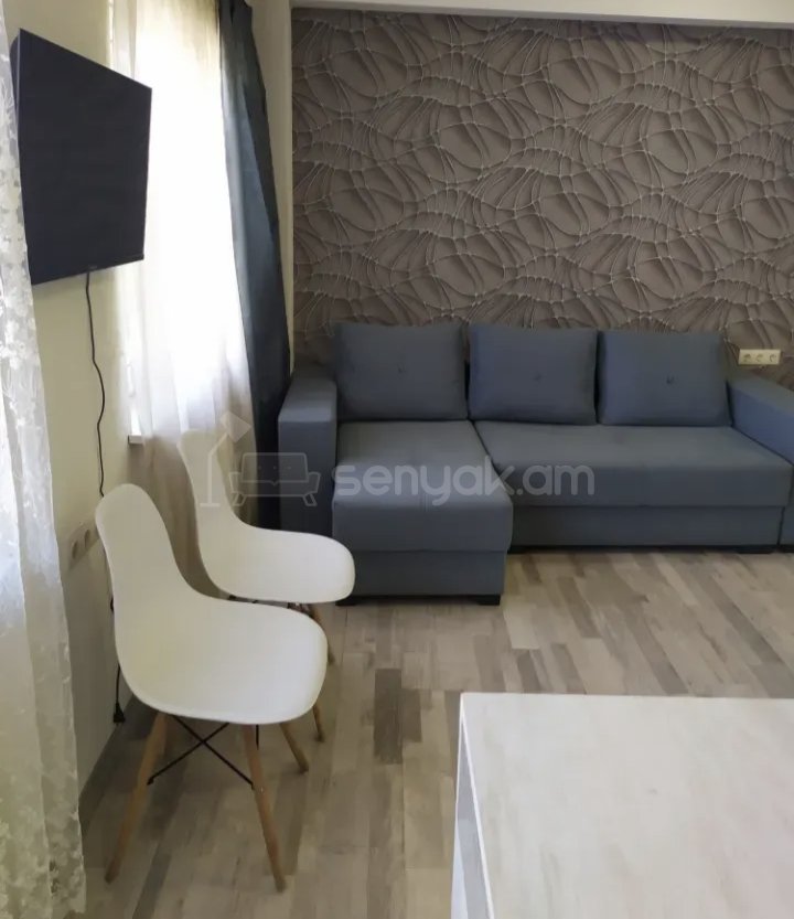 1 Սենյականոց Բնակարան Քարե Շենքում, 40քմ, 2/2 հարկ, Կապիտալ Վերանորոգված, Կահավորված