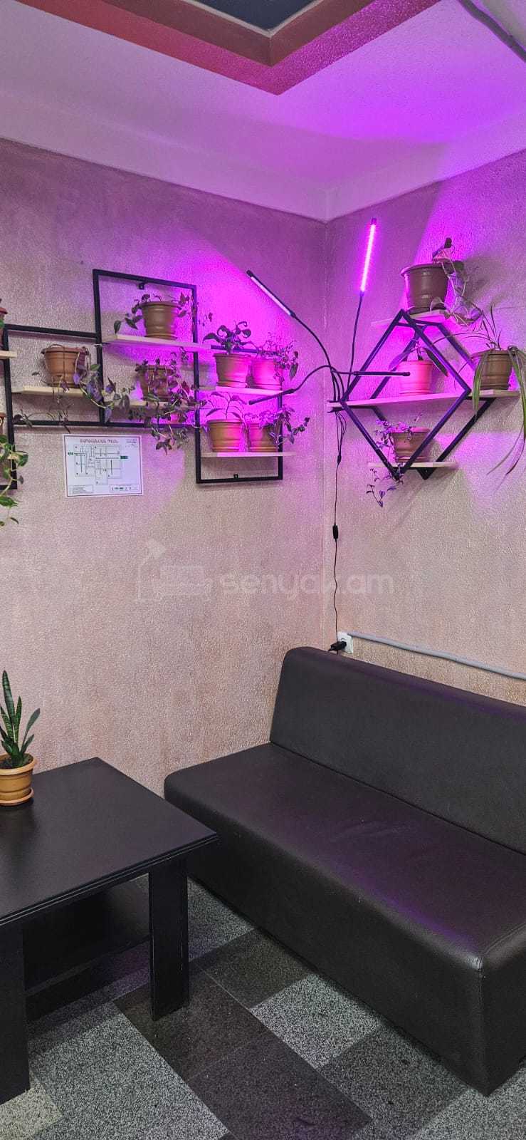 Օֆիսային Տարածք, 250քմ