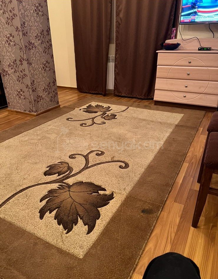 3 Սենյականոց Բնակարան, 72քմ, 1/9 հարկ, Կապիտալ Վերանորոգված, Կահավորված