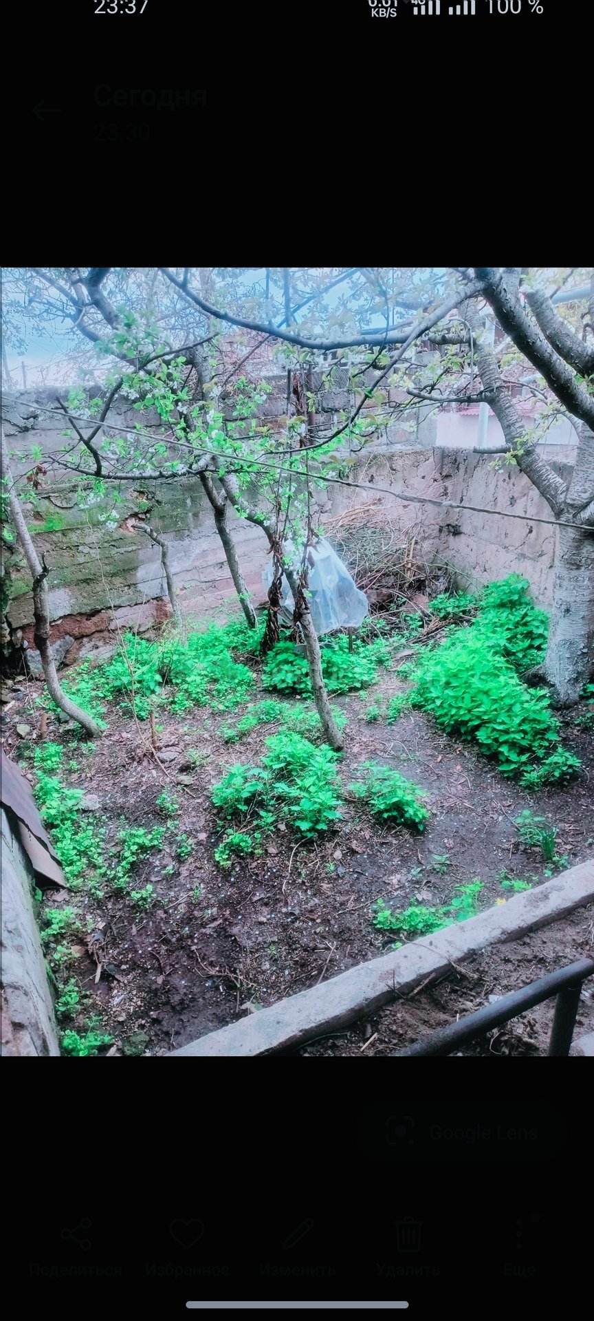 Սպասարկման Տարածք, 122քմ