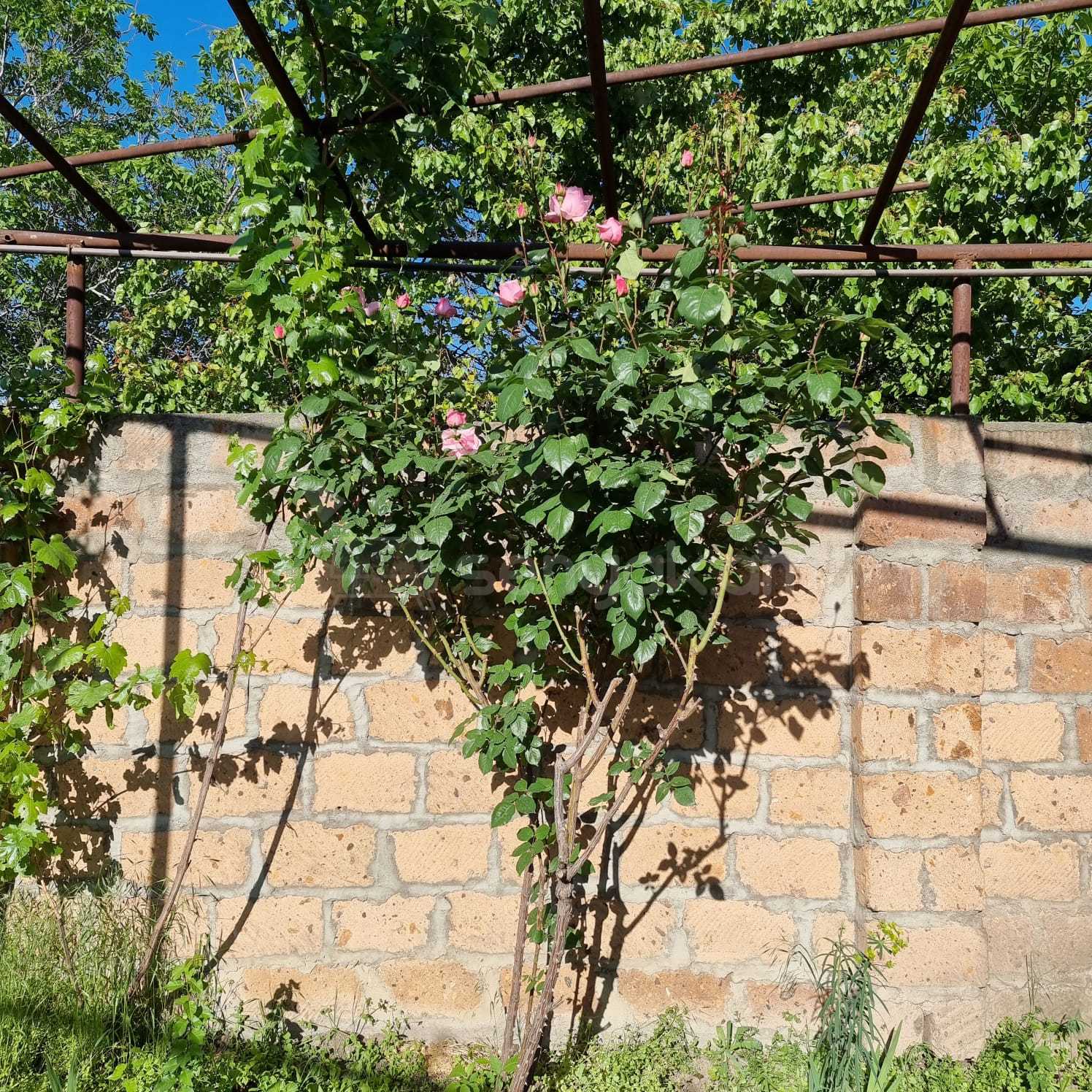 4 Սենյականոց Սեփական Տուն, 120քմ, Նորմալ Վիճակում