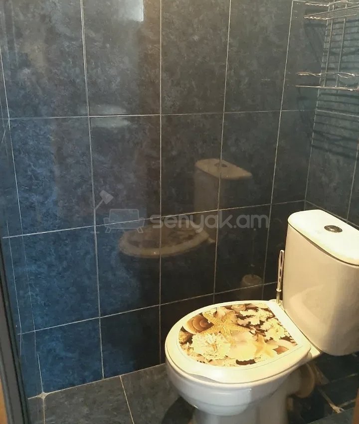 3 Սենյականոց Բնակարան Քարե Շենքում, 78քմ, 9/9 հարկ, Նորմալ Վիճակում, Կահավորված