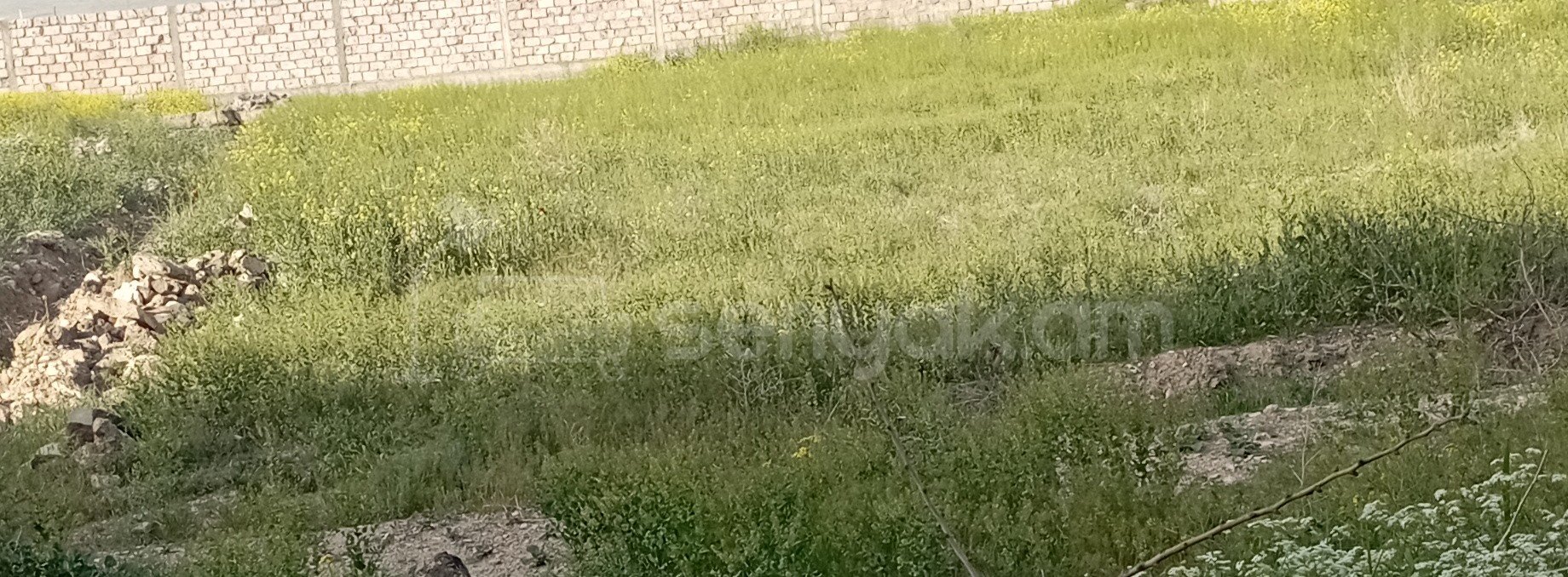 Բնակելի Նշանակության Հողատարածք, 500քմ, Խմելու Ջրով, Էլեկտրականությամբ