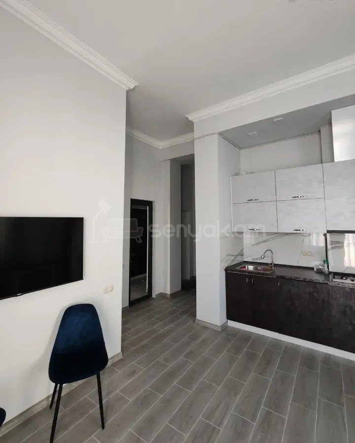 2 Սենյականոց Բնակարան Նորակառույցում, 46քմ, 1/10 հարկ, Կապիտալ Վերանորոգված