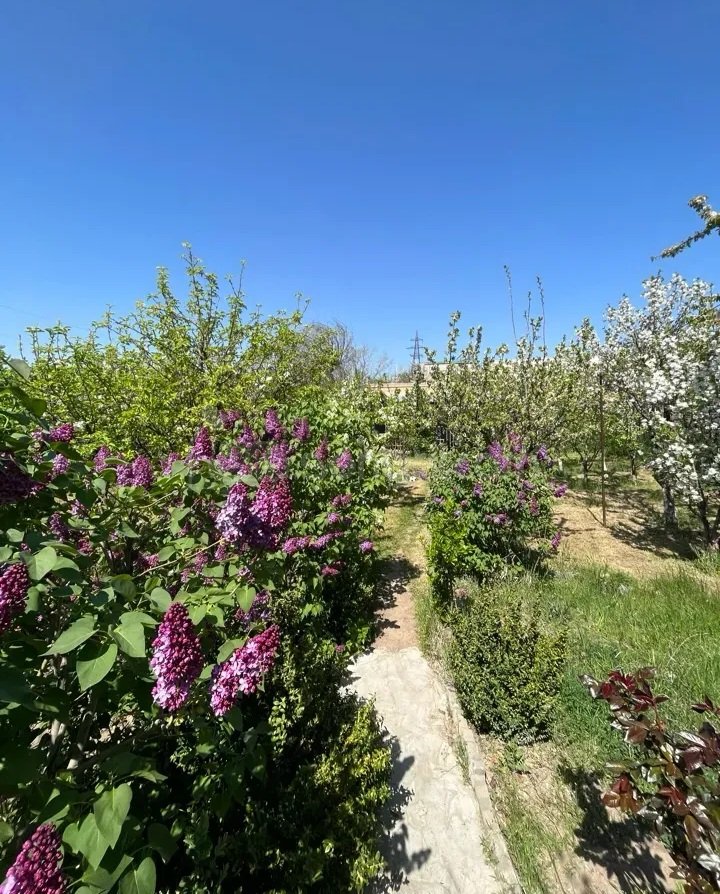 4 Սենյականոց Սեփական Տուն, 250քմ, Կոսմետիկ Վերանորոգված, Ավտոտնակով