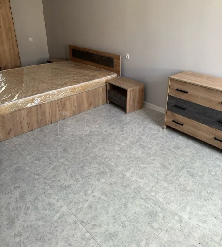 2 Սենյականոց Բնակարան Քարե Շենքում, 56քմ, 1/1 հարկ, Կապիտալ Վերանորոգված, Կահավորված