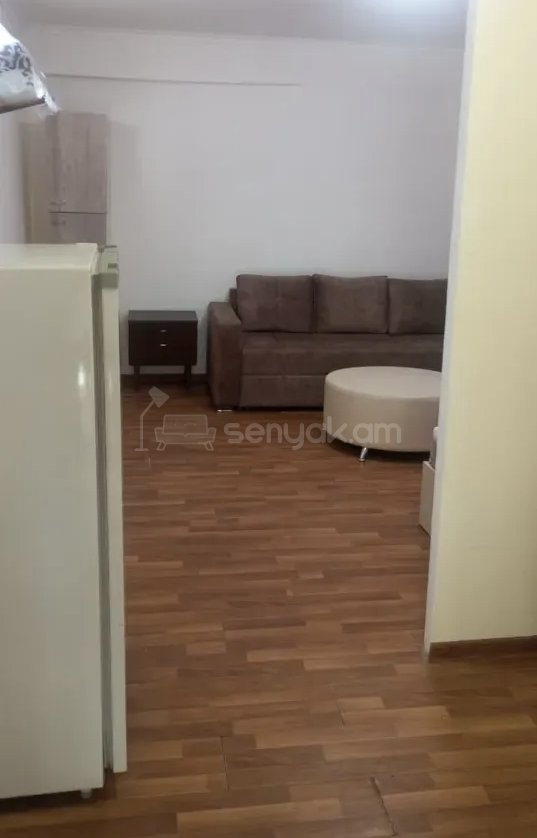 1 Սենյականոց Բնակարան Քարե Շենքում, 35քմ, 1/1 հարկ, Նորմալ Վիճակում, Կահավորված