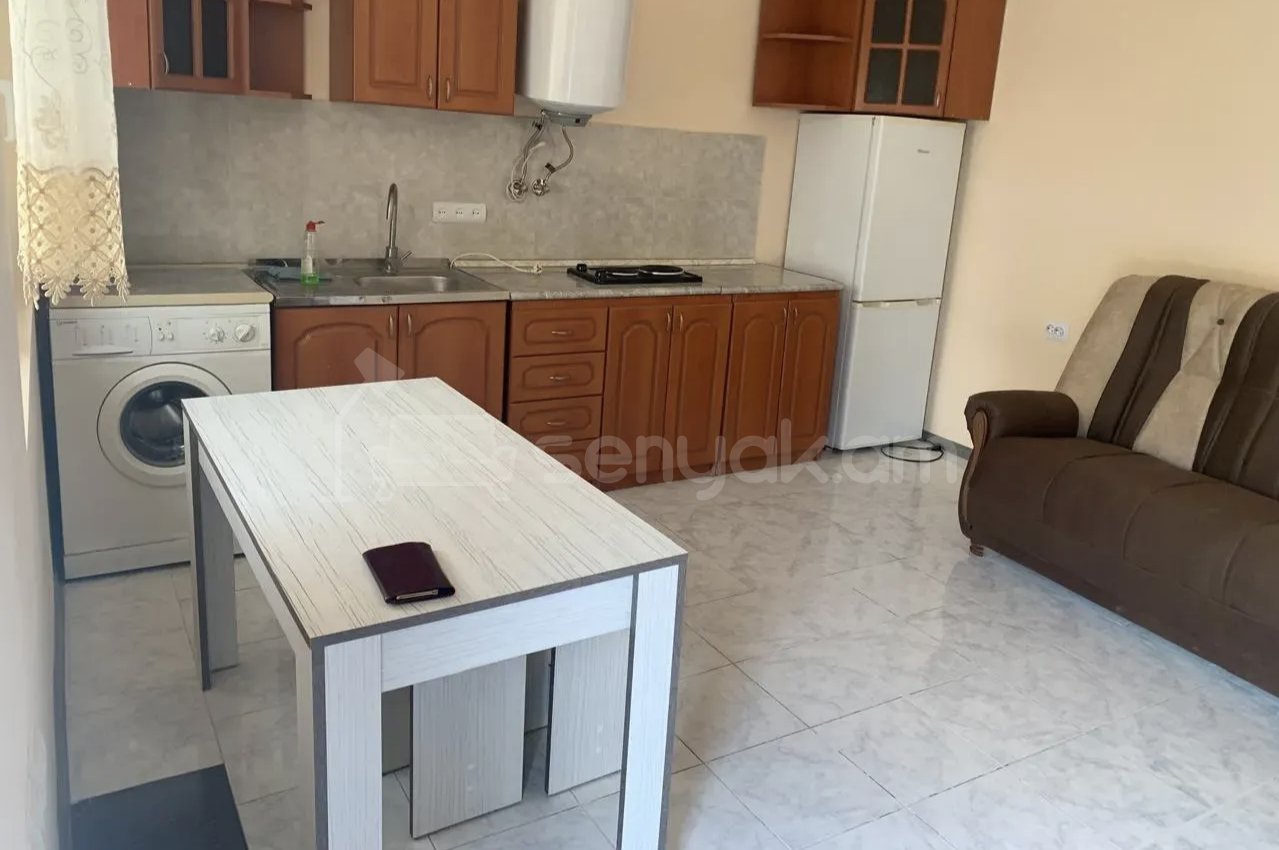 2 Սենյականոց Բնակարան Քարե Շենքում, 48քմ, 1/1 հարկ, Կապիտալ Վերանորոգված, Կահավորված, Արևկող