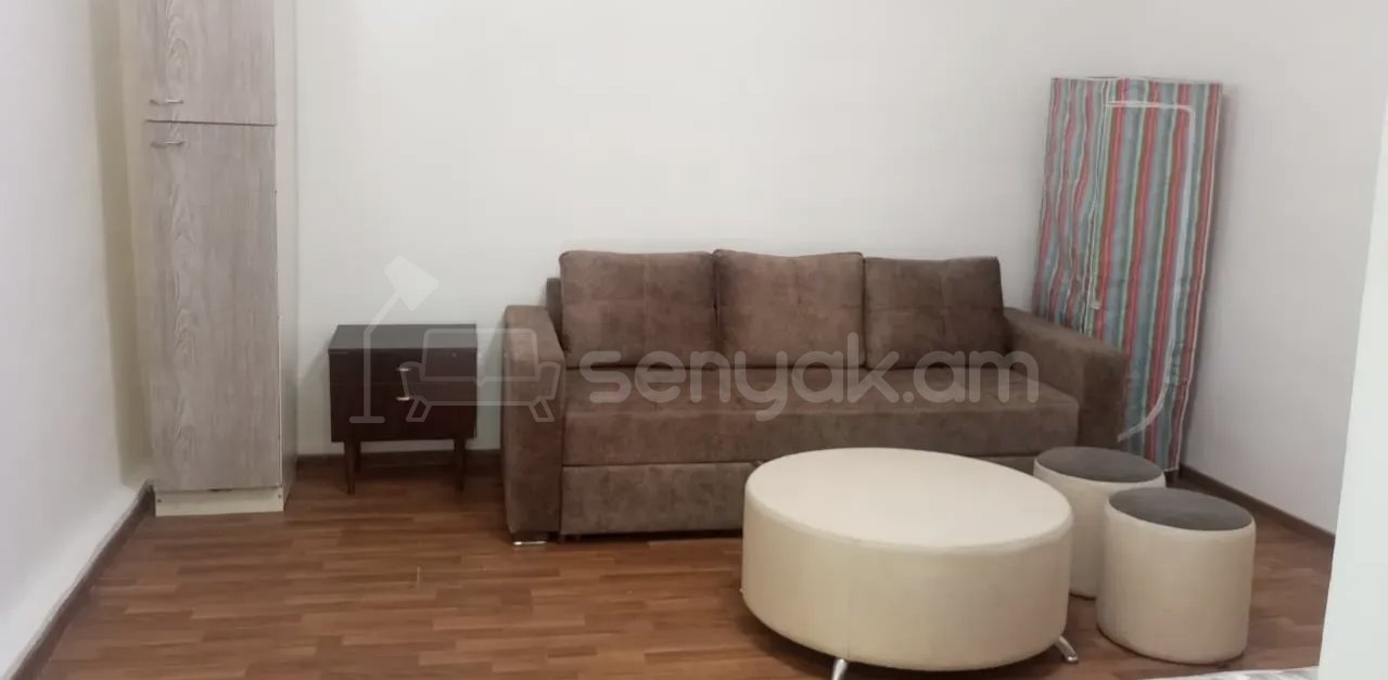 1 Սենյականոց Բնակարան Քարե Շենքում, 28քմ, 1/1 հարկ, Կապիտալ Վերանորոգված, Կահավորված