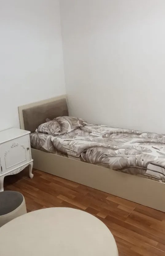 1 Սենյականոց Բնակարան Քարե Շենքում, 28քմ, 1/1 հարկ, Կապիտալ Վերանորոգված, Կահավորված