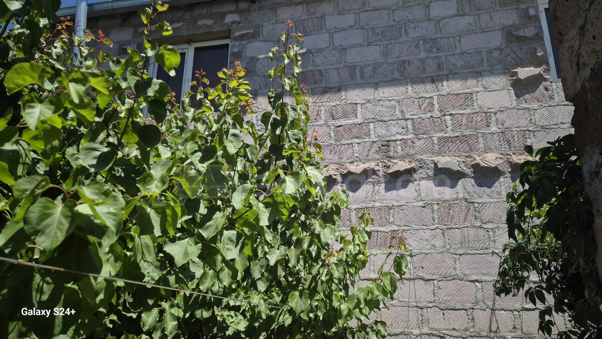 Ազատ նախագծով Սեփական Տուն, 300քմ