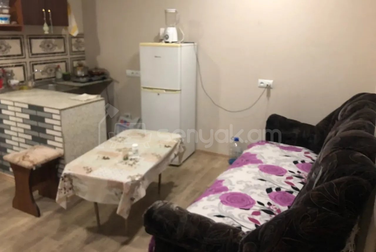 2 Սենյականոց Բնակարան Քարե Շենքում, 50քմ, 1/1 հարկ, Նորմալ Վիճակում, Կահավորված