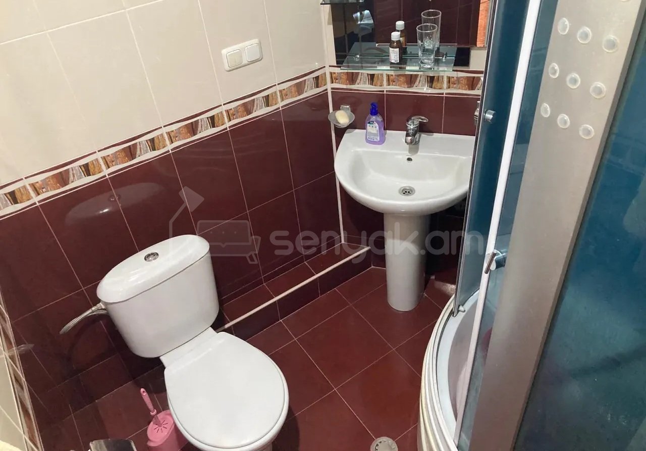 2 Սենյականոց Բնակարան, 55քմ, 2/4 հարկ, Կապիտալ Վերանորոգված, Կահավորված