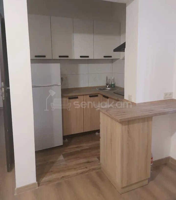 2 Սենյականոց Բնակարան, 50քմ, 1/1 հարկ, Նորմալ Վիճակում, Կահավորված