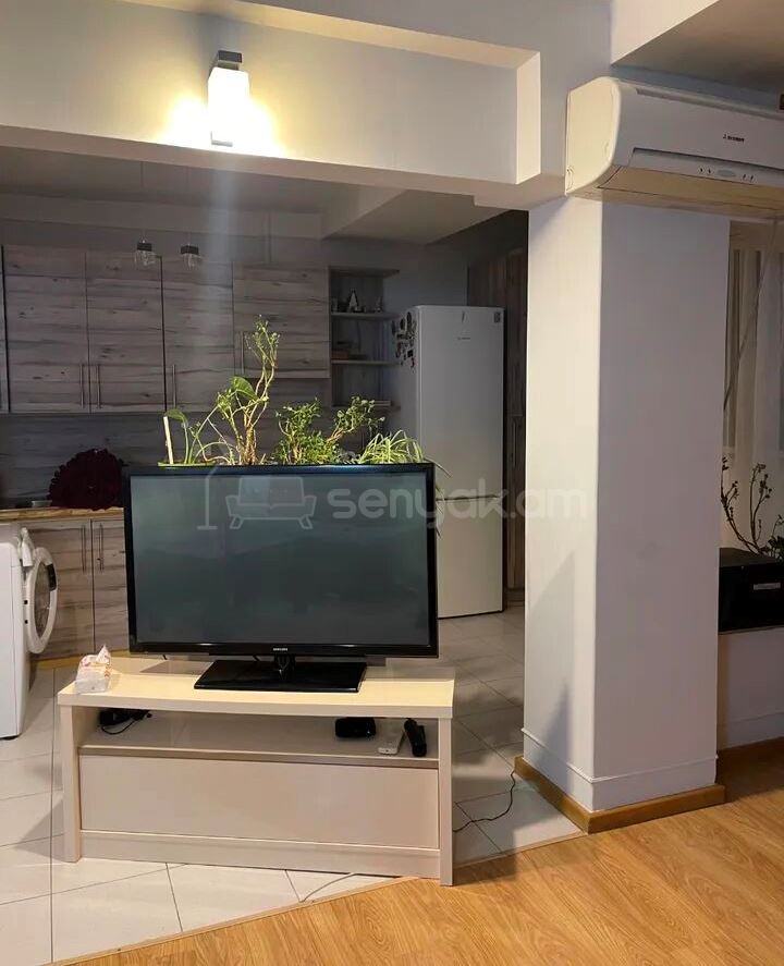 2 Սենյականոց Բնակարան, 49քմ, 7/12 հարկ, Կապիտալ Վերանորոգված