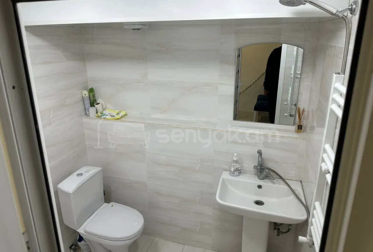 2 Սենյականոց Բնակարան Քարե Շենքում, 50քմ, 1/1 հարկ, Կապիտալ Վերանորոգված, Կահավորված