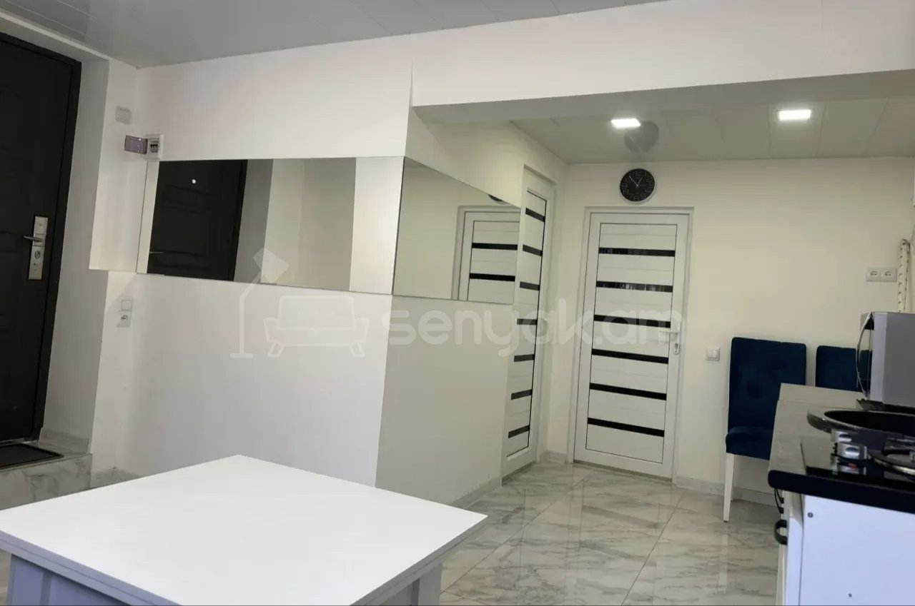 2 Սենյականոց Բնակարան Քարե Շենքում, 50քմ, 1/1 հարկ, Կապիտալ Վերանորոգված, Կահավորված