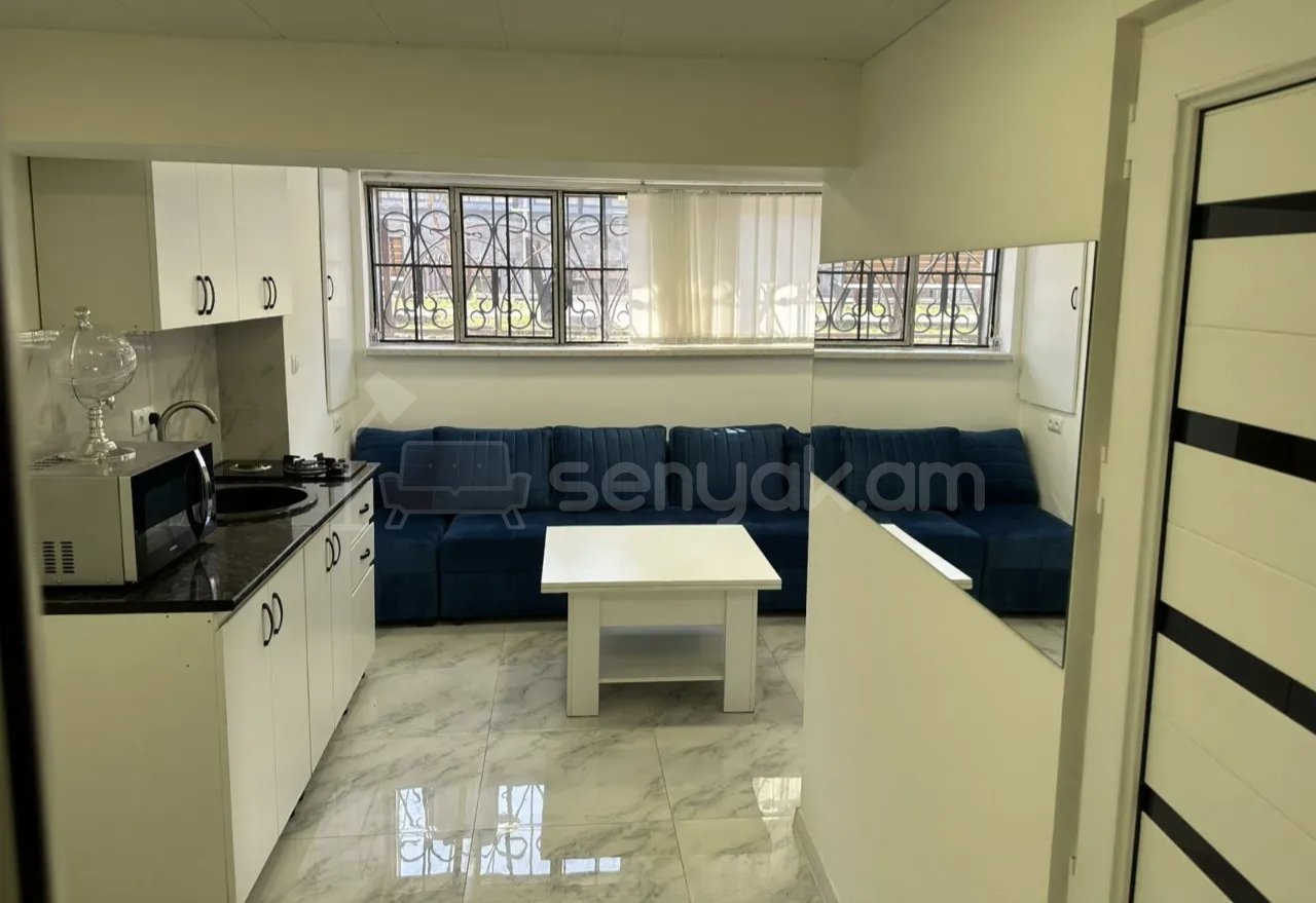 2 Սենյականոց Բնակարան Քարե Շենքում, 50քմ, 1/1 հարկ, Կապիտալ Վերանորոգված, Կահավորված