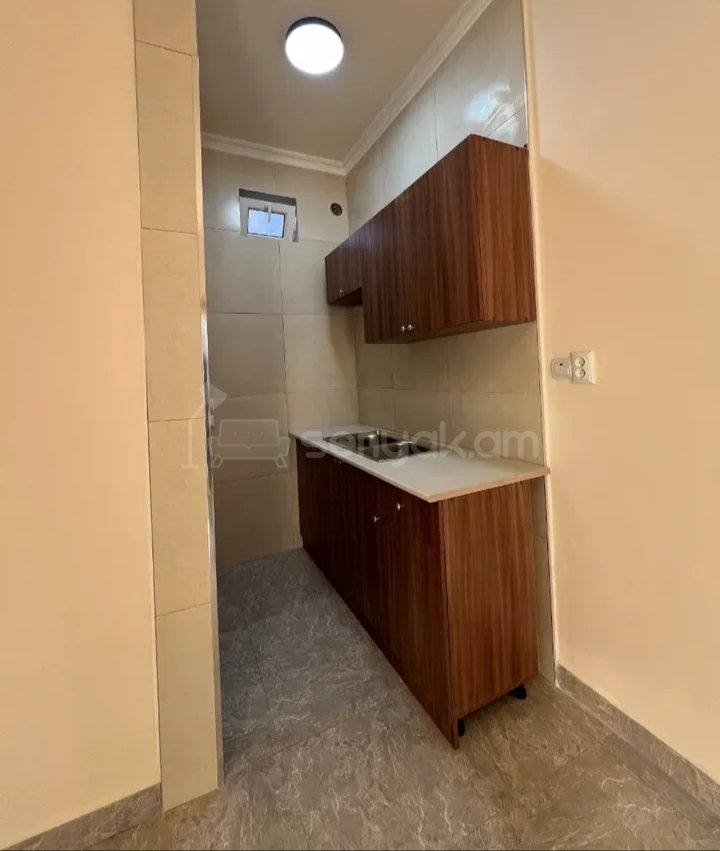 2 Սենյականոց Բնակարան Քարե Շենքում, 48քմ, 1/1 հարկ, Կապիտալ Վերանորոգված, Կահավորված