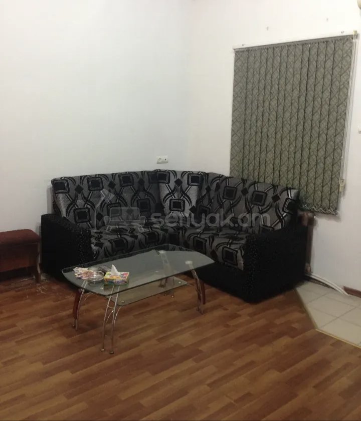 2 Սենյականոց Բնակարան Քարե Շենքում, 48քմ, 1/1 հարկ, Կապիտալ Վերանորոգված, Կահավորված