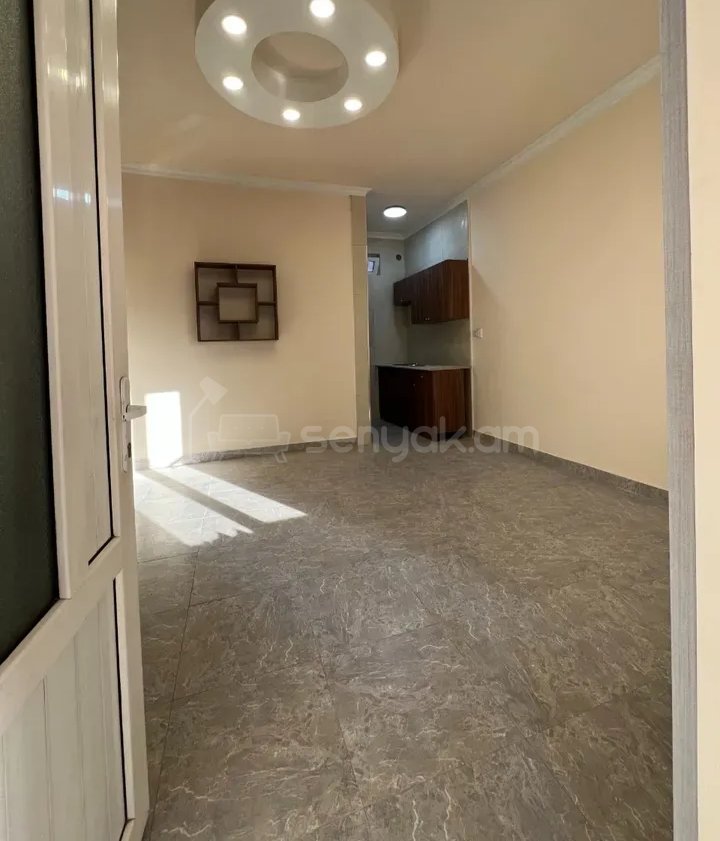 2 Սենյականոց Բնակարան Քարե Շենքում, 48քմ, 1/1 հարկ, Կապիտալ Վերանորոգված, Կահավորված