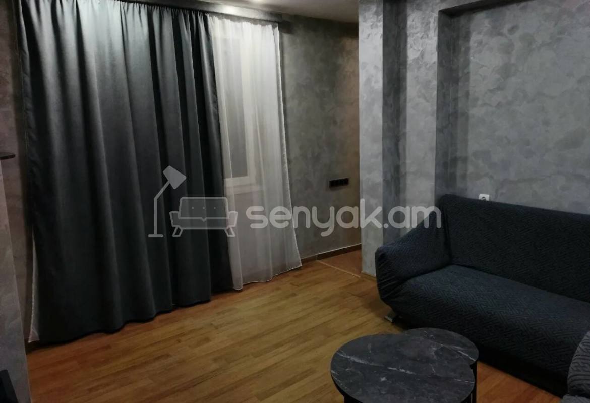 2 Սենյականոց Բնակարան Քարե Շենքում, 43քմ, 9/9 հարկ, Կապիտալ Վերանորոգված, Կահավորված