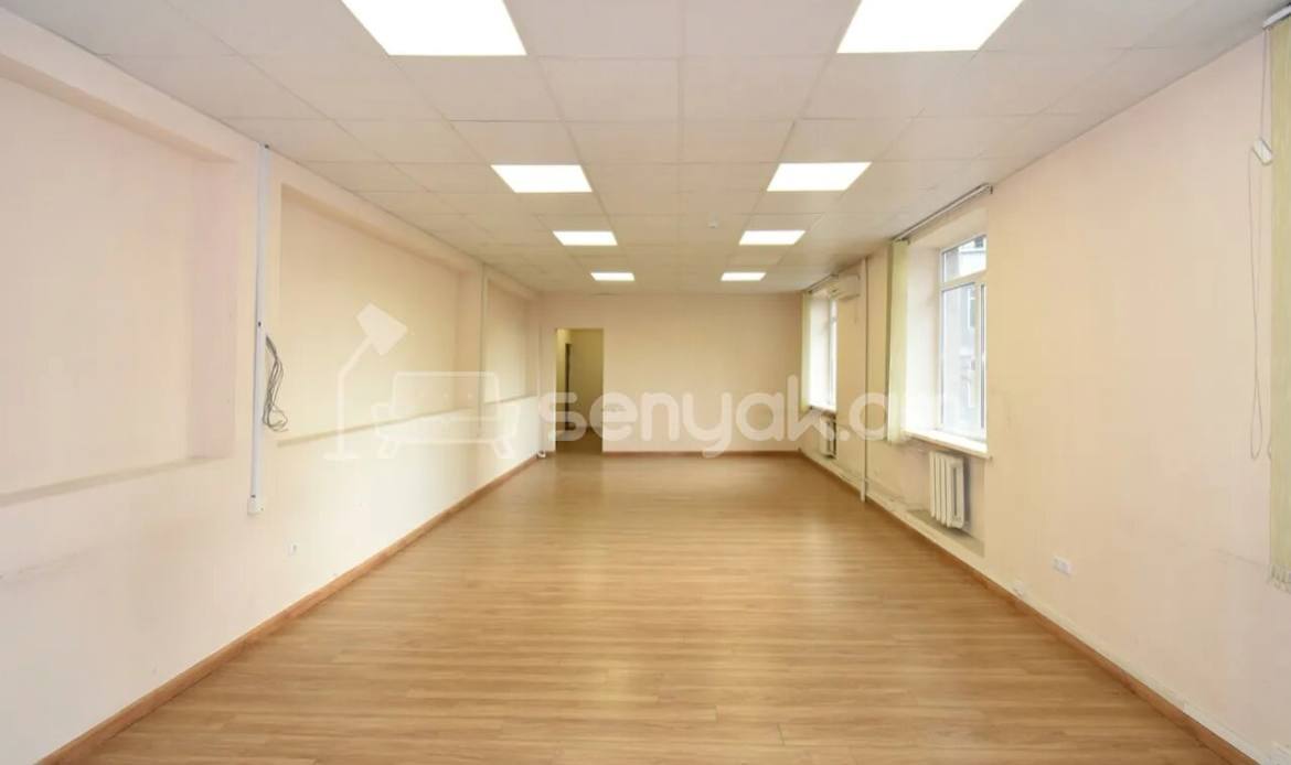 Օֆիսային Տարածք, 54քմ, Կապիտալ Վերանորոգված