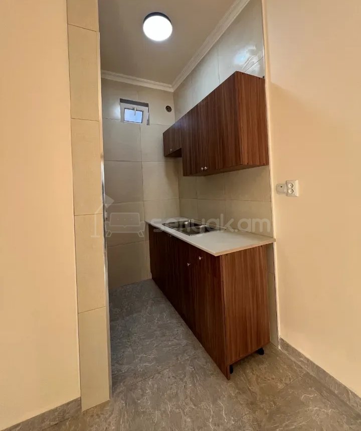 1 Սենյականոց Բնակարան Քարե Շենքում, 42քմ, 1/1 հարկ, Նորմալ Վիճակում, Կահավորված