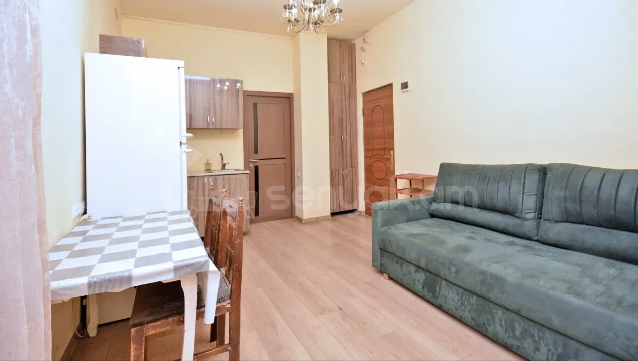 2 Սենյականոց Բնակարան Քարե Շենքում, 45քմ, 2/2 հարկ, Կապիտալ Վերանորոգված, Կահավորված