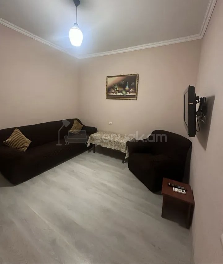 1 Սենյականոց Բնակարան Քարե Շենքում, 45քմ, 1/1 հարկ, Կապիտալ Վերանորոգված, Կահավորված