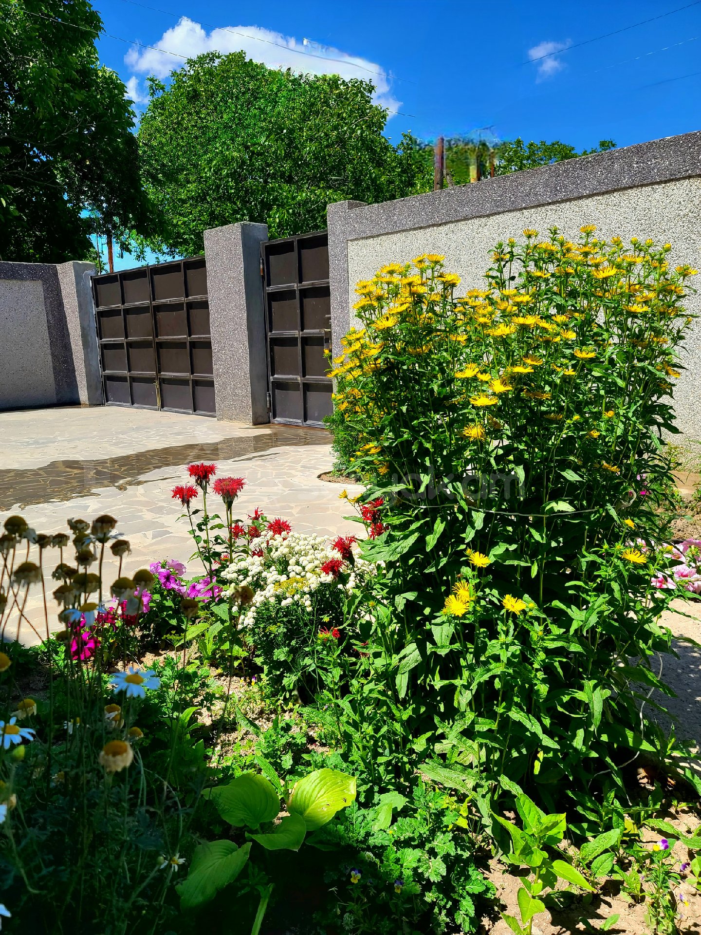 4 Սենյականոց Ամառանոց, 180քմ, Լողավազանով