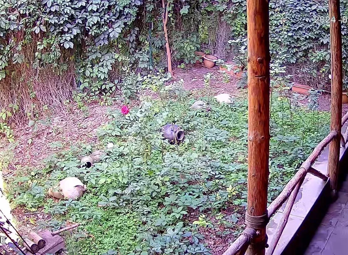 3 Սենյականոց Բնակարան, 103քմ, 1/9 հարկ, Կապիտալ Վերանորոգված