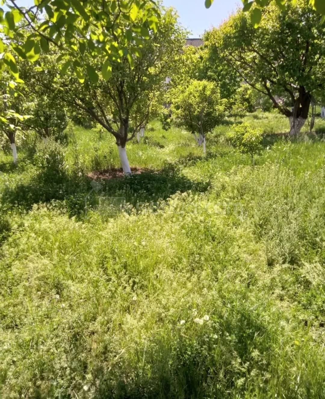 Հողամաս, 1500քմ, Ոռոգման Ջրով, Էլեկտրականությամբ